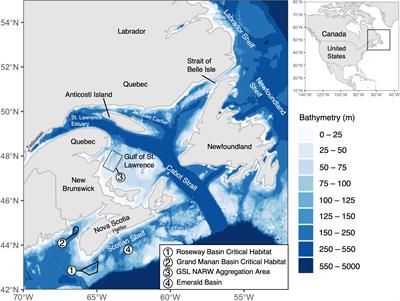 The distribution of North Atlantic right whales in Canadian waters from 2015-2017 revealed by passive acoustic monitoring